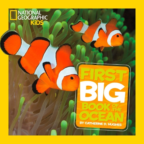 Little Kids First Big Book of The Ocean (Hardback)