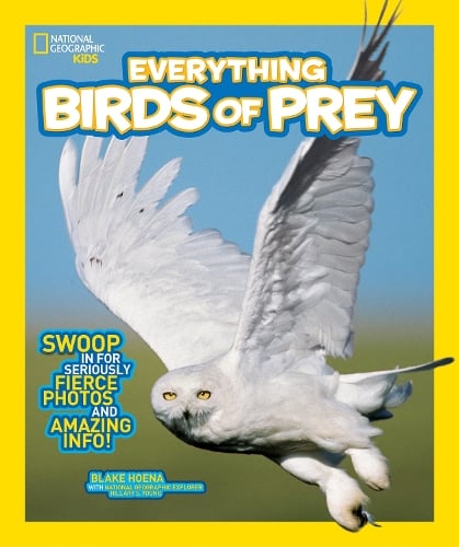 Everything Birds of Prey (Paperback)