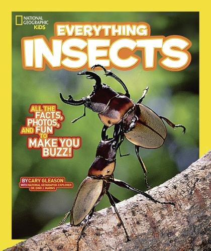 Everything Insects (Paperback)