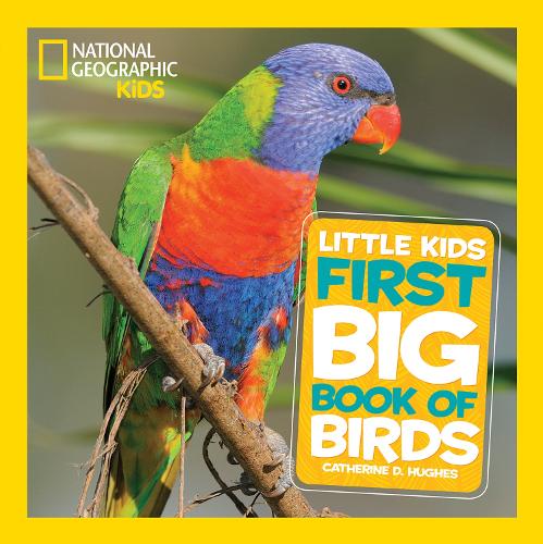 Little Kids First Big Book of Birds (Hardback)