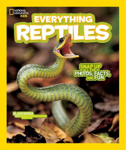 Everything Reptiles (Paperback)