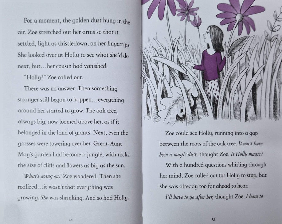 Fairy Unicorns The Magic Forest (Hardback)