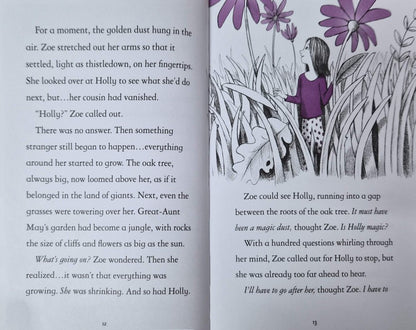 Fairy Unicorns The Magic Forest (Hardback)