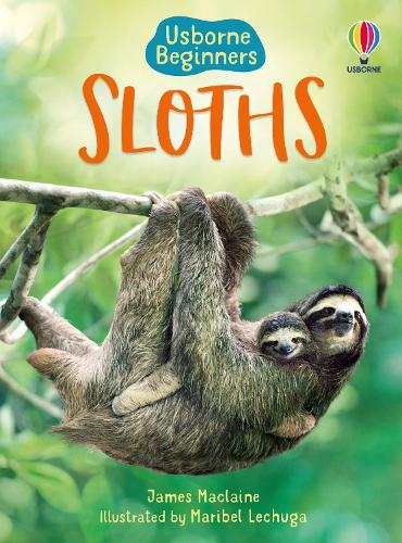 Usborne Beginners: Sloths (Hardback)