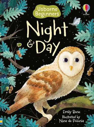 Usborne Beginners: Night and Day (Hardback)