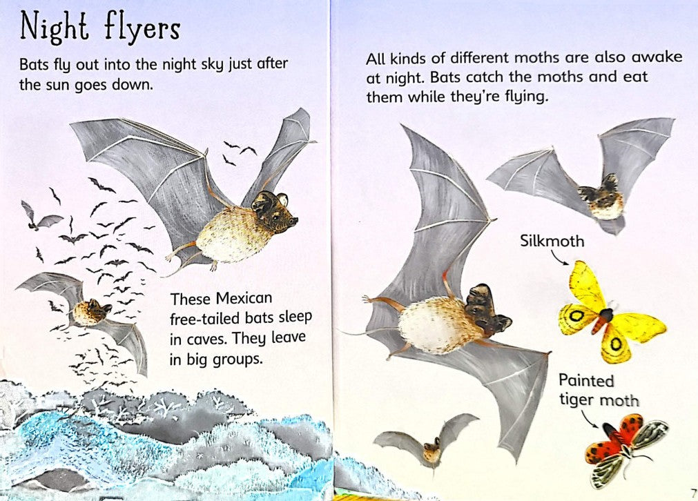Usborne Beginners: Night and Day (Hardback)