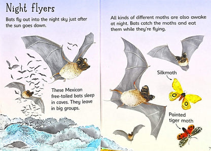 Usborne Beginners: Night and Day (Hardback)