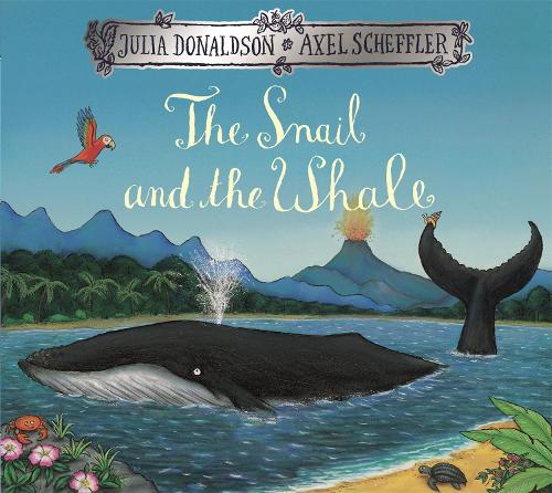 Snail and the Whale (Paperback)