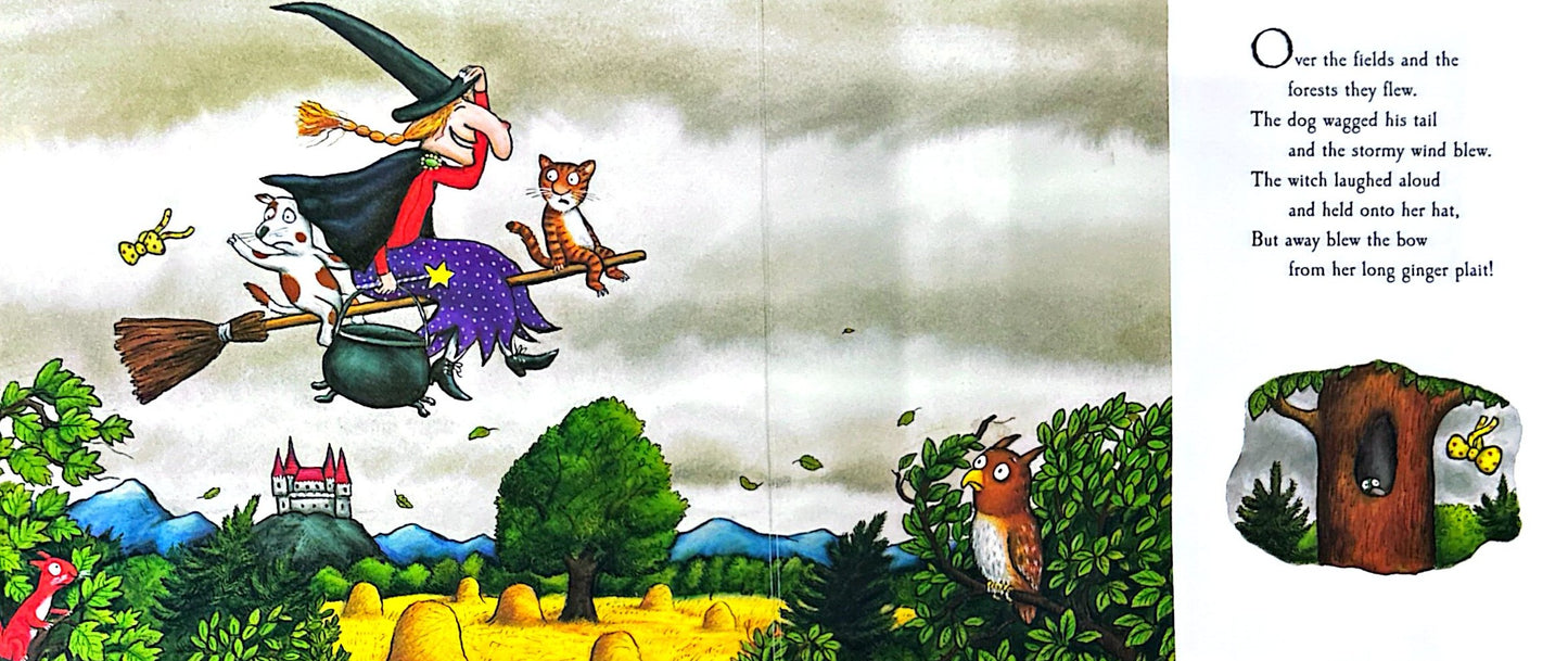 Room on the Broom (Board book)