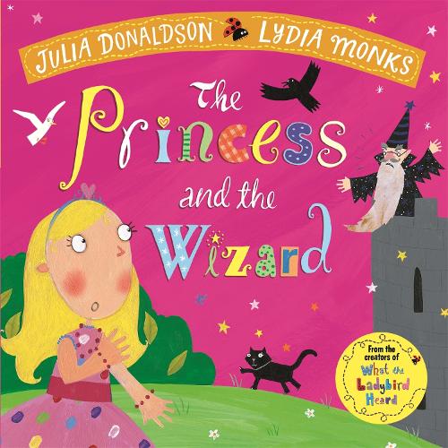 Princess and the Wizard (Paperback)