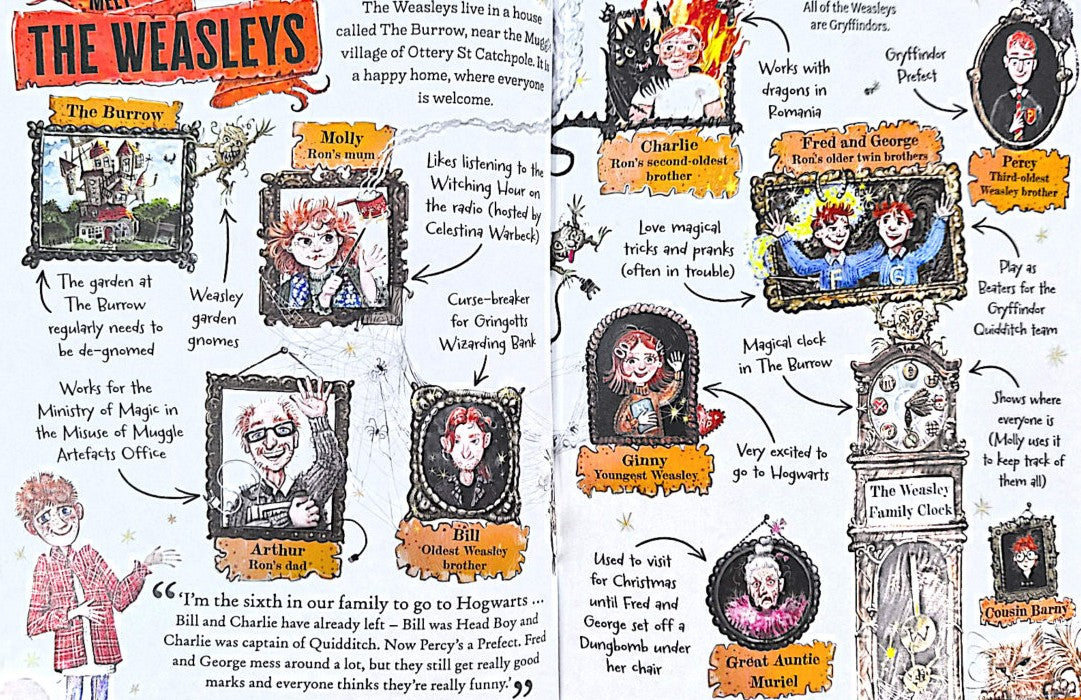 Ron Weasley (Hardback)