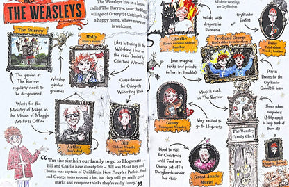 Ron Weasley (Hardback)
