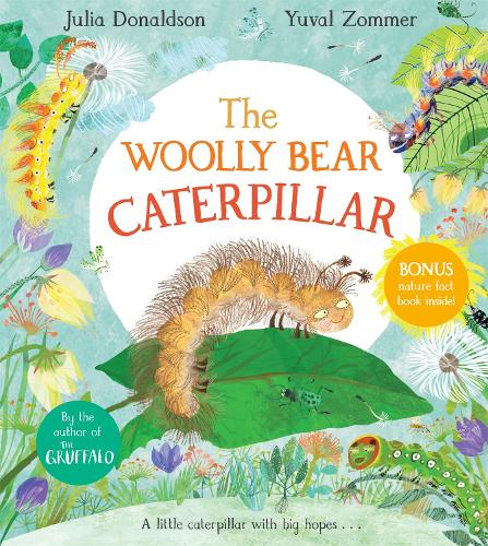 Woolly Bear Caterpillar (Paperback)