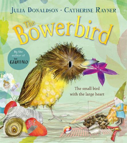 Bowerbird (Paperback)