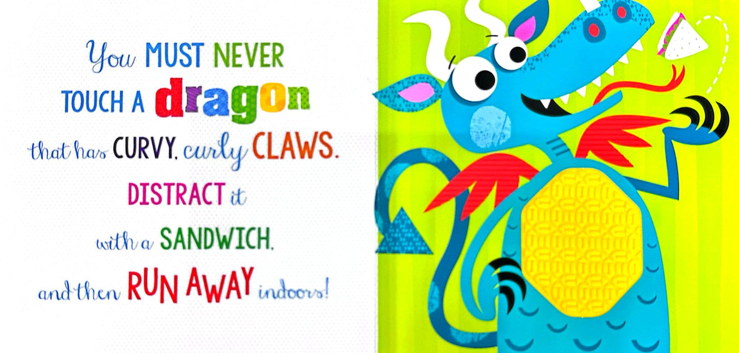 Never Touch a Dragon (Board book)