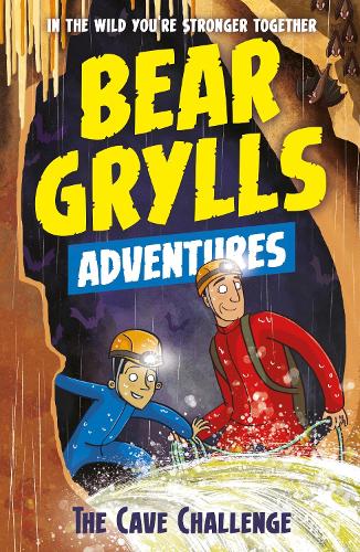 Bear Grylls Adventure 9: The Cave Challenge (Paperback)