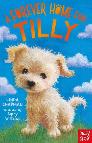 Forever Home for Tilly (Paperback)