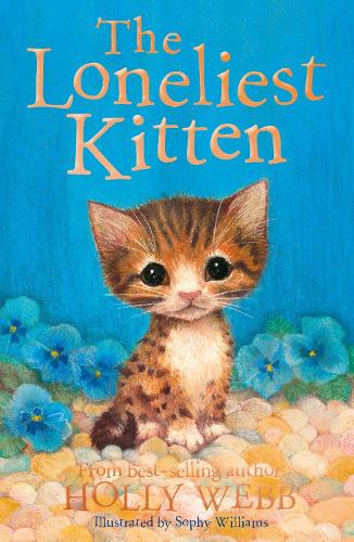 Animal Stories: The Loneliest Kitten (Paperback)