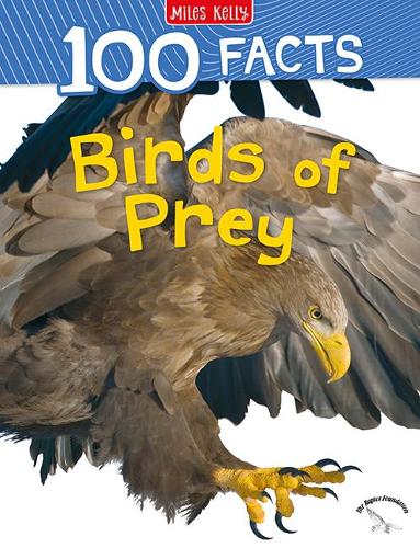 100 Facts Birds of Prey (Paperback)