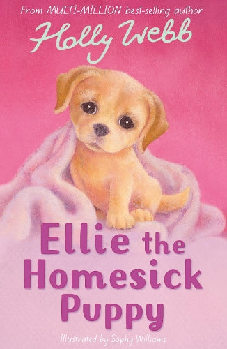 Animal Stories: Ellie the Homesick Puppy (Paperback)