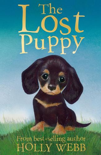 Animal Stories: The Lost Puppy (Paperback)