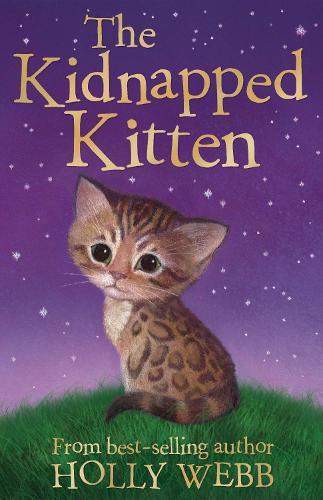 Animal Stories: The Kidnapped Kitten (Paperback)