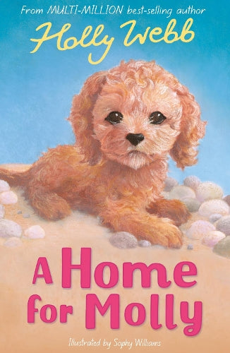 Animal Stories: A Home for Molly (Paperback)