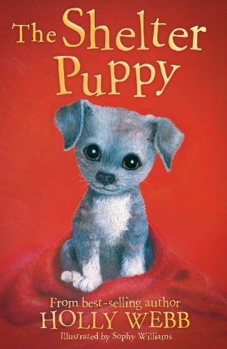 Animal Stories: The Shelter Puppy (Paperback)