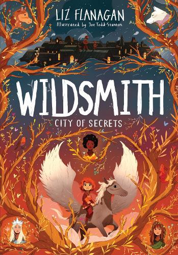 The Wildsmith 2: City Of Secrets (Paperback)