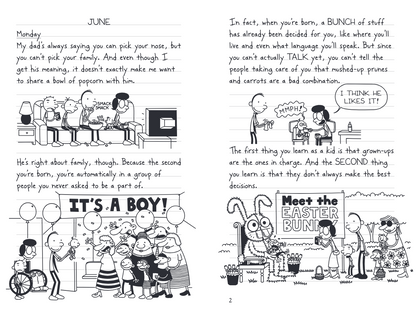 Diary of a Wimpy Kid: Hot Mess (Book 19) (Hardback)