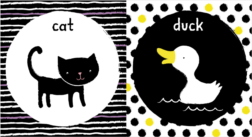 Little Learning Library: Baby's Very First Black and White Little Library (Board book)