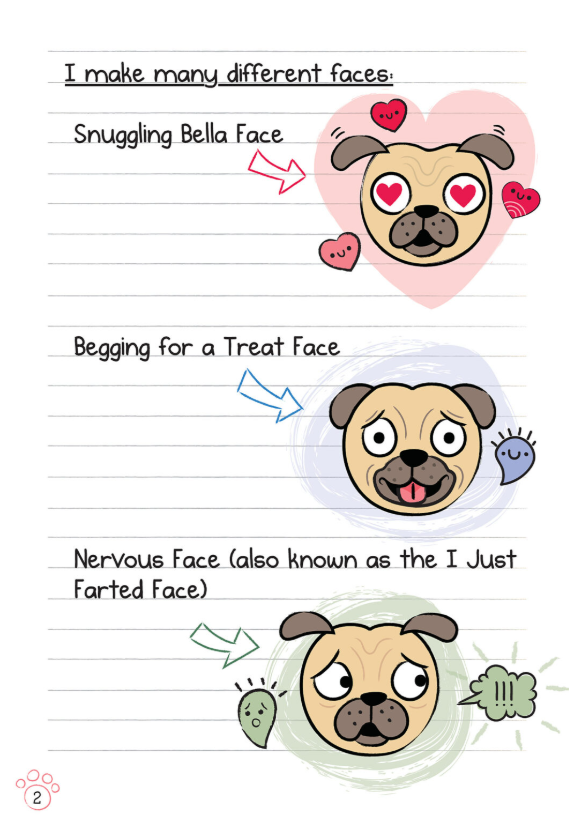 Diary of a Pug #3: Paws for a Cause (Paperback)