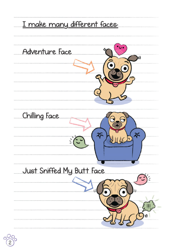 Diary of a Pug #7: Pug's Road Trip (Paperback)