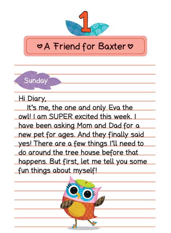 Owl Diaries #16: Get Well, Eva (Paperback)