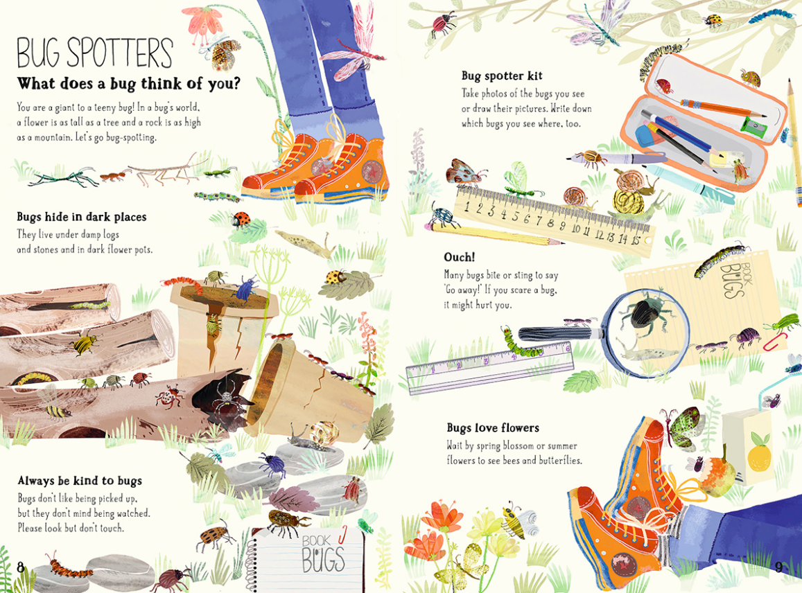 The Big Book Of Bugs (Hardback)