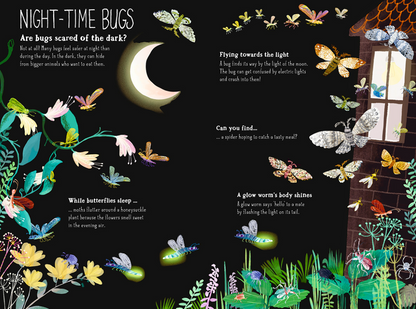 The Big Book Of Bugs (Hardback)