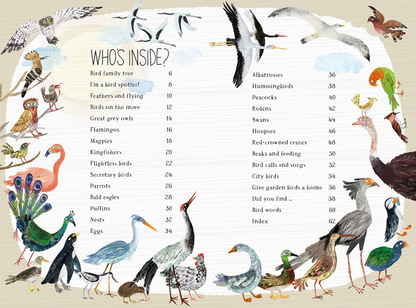 The Big Book Of Birds (Hardback)
