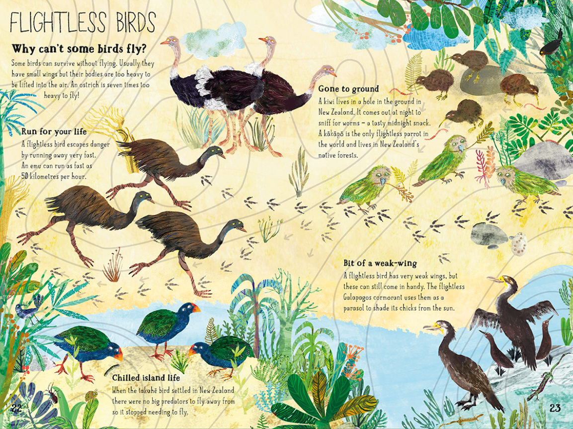 The Big Book Of Birds (Hardback)