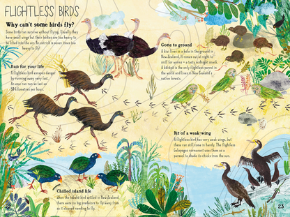The Big Book Of Birds (Hardback)