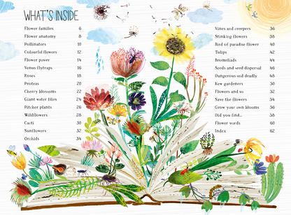 The Big Book Of Blooms (Hardback)