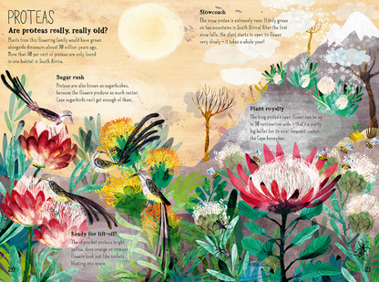 The Big Book Of Blooms (Hardback)