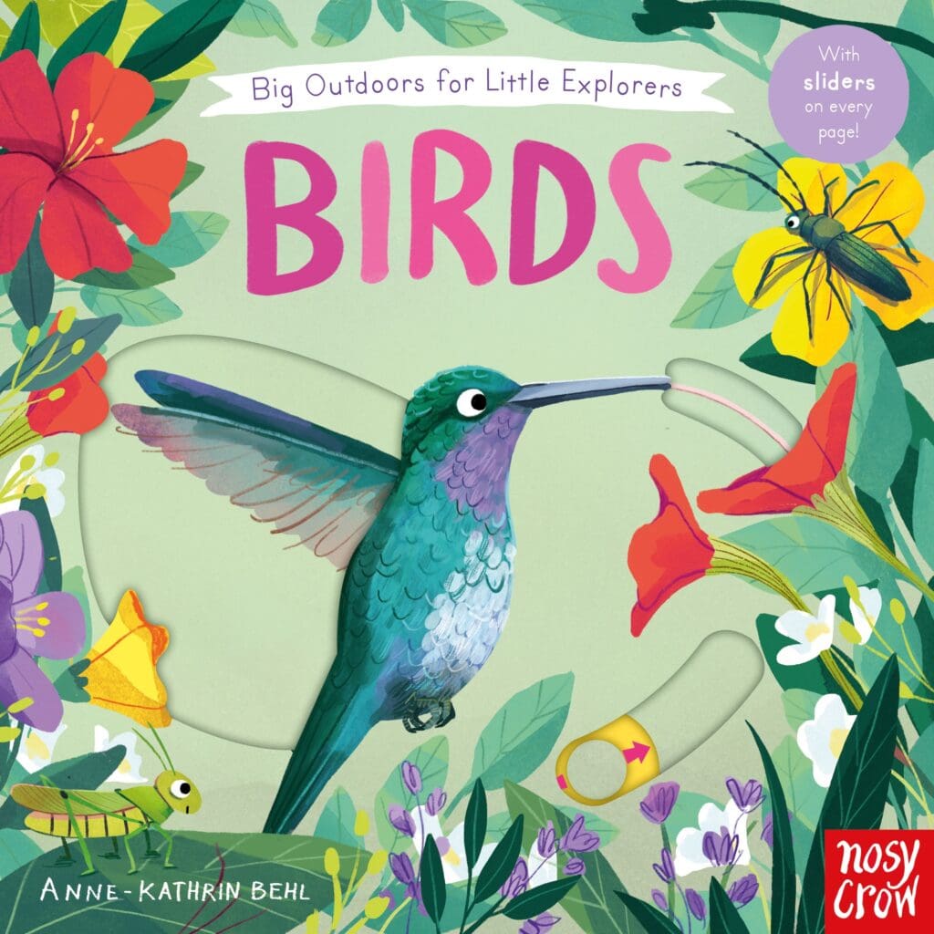 Big Outdoors for Little Explorers: Birds (Hardback)